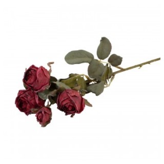 Tige 5 roses rouges effet seche