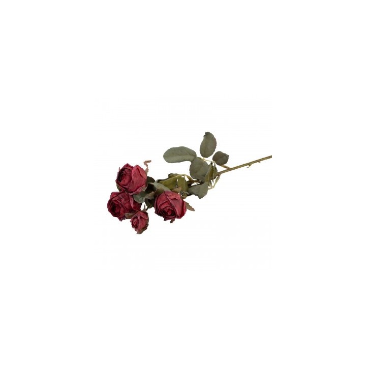 Tige 5 roses rouges effet seche