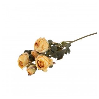 Tige 5 roses jaunes effet seche
