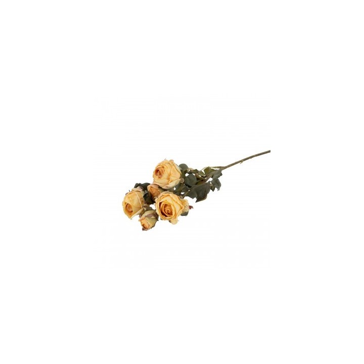 Tige 5 roses jaunes effet seche