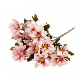 Bouquet 5 tiges bidens roses