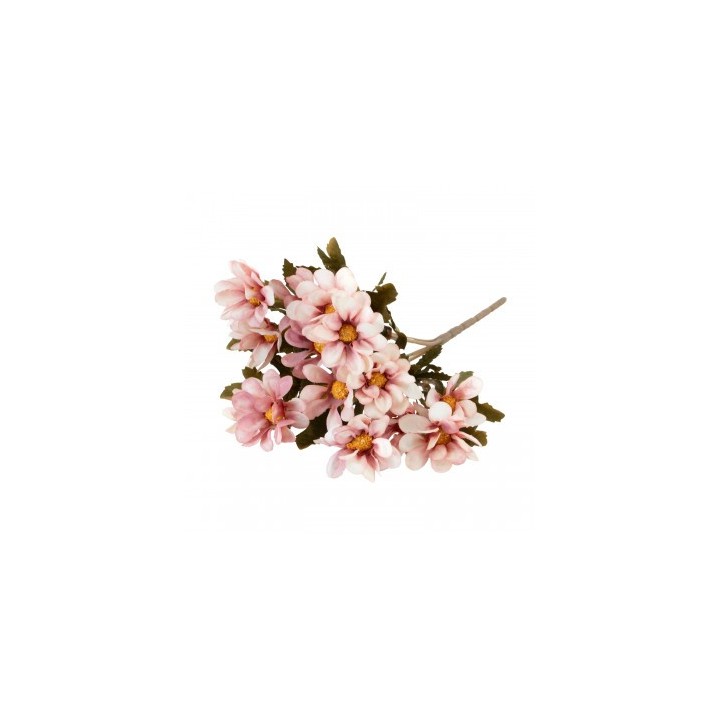 Bouquet 5 tiges bidens roses