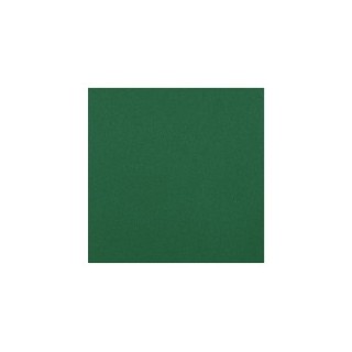Serviettes intissées winter green (vert foncé)