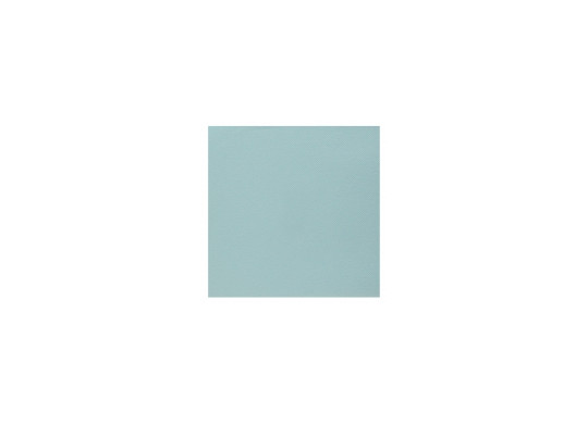 Serviettes intissées light blue (bleu clair)