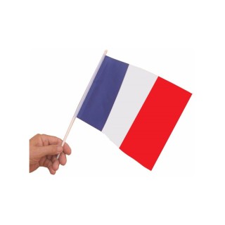 Drapeau France 15x21cm