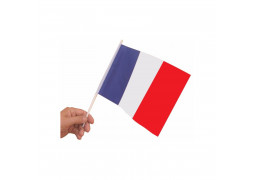 Drapeau France 15x21cm