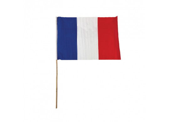 Drapeau France 30x45cm