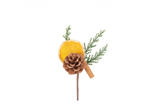 Pic sapin/orange séchée/cannelle