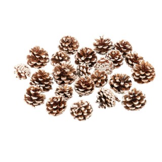Sachet pomme de pin enneigé 5cms