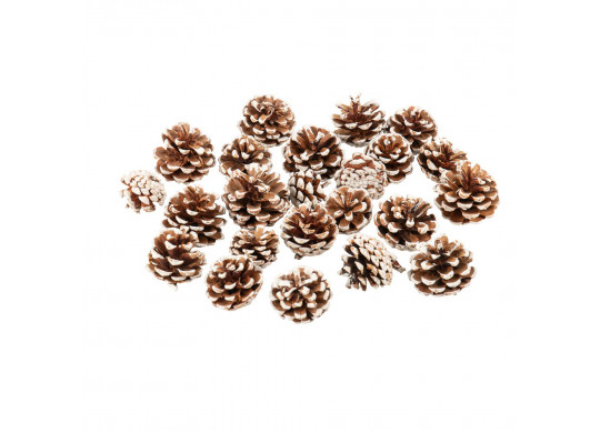 Sachet pomme de pin enneigé 5cms