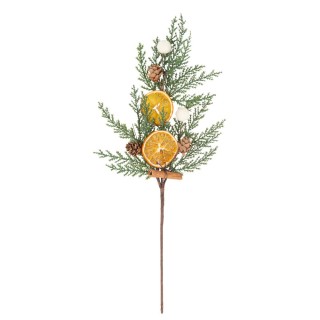 Branche sapin/orange séchée/cannelle