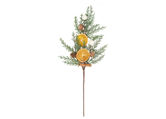 Branche sapin/orange séchée/cannelle