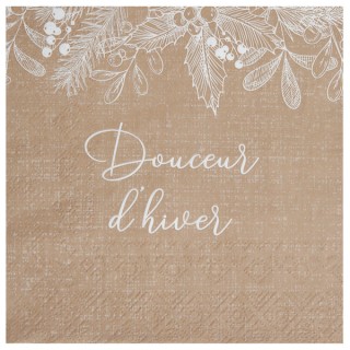 20 Serviettes kraft douceur d'hiver