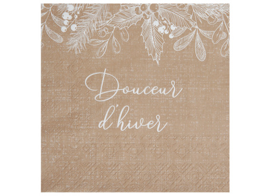 20 Serviettes kraft douceur d'hiver