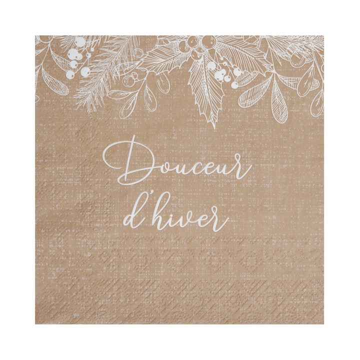 20 Serviettes kraft douceur d'hiver