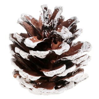 Pomme de pin enneigee 5cms x12