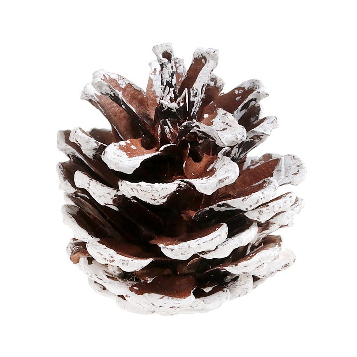 Pomme de pin enneigee 5cms x12