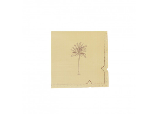Serviettes parfum d'orient x16