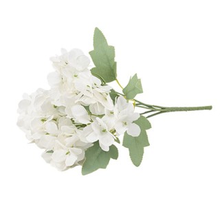 Bouquet 5 hortensias blanc