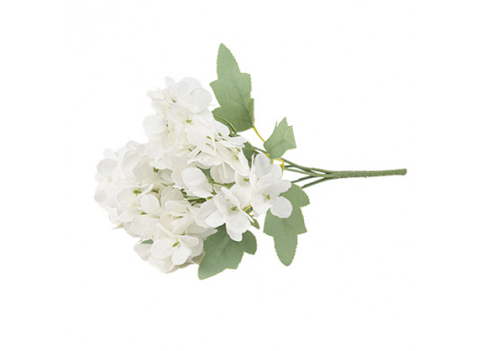 Bouquet 5 hortensias blanc