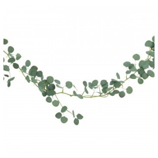 Descente eucalyptus