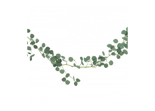 Descente eucalyptus