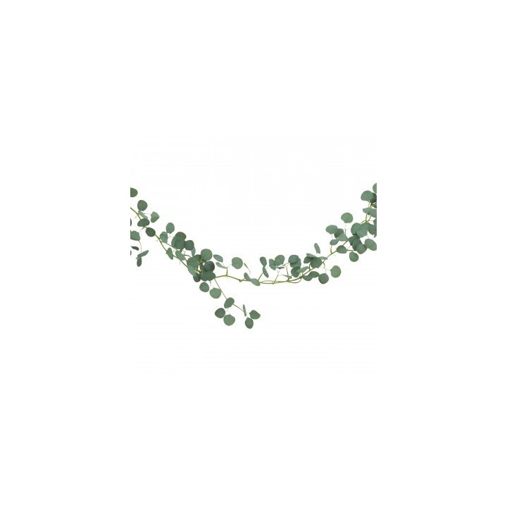 Descente eucalyptus