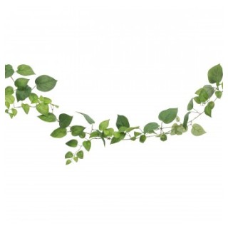 Guirlande feuilles pothos