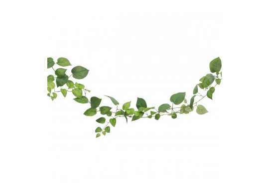 Guirlande feuilles pothos