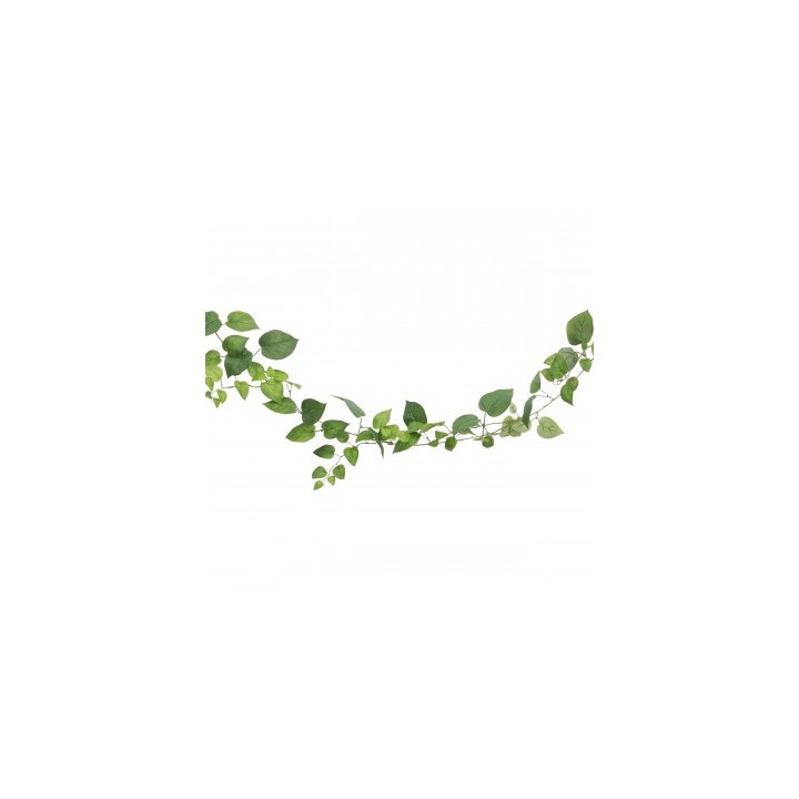 Guirlande feuilles pothos