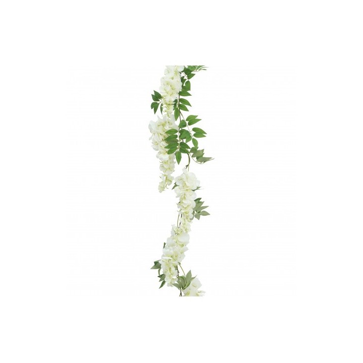 Guirlande glycine blanche