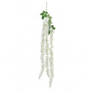 Chute hortensia blanche