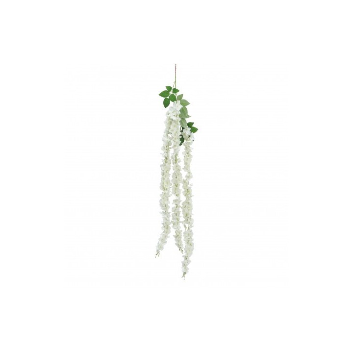 Chute hortensia blanche