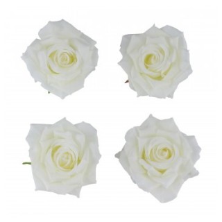 Tete rose ivoire 10cms