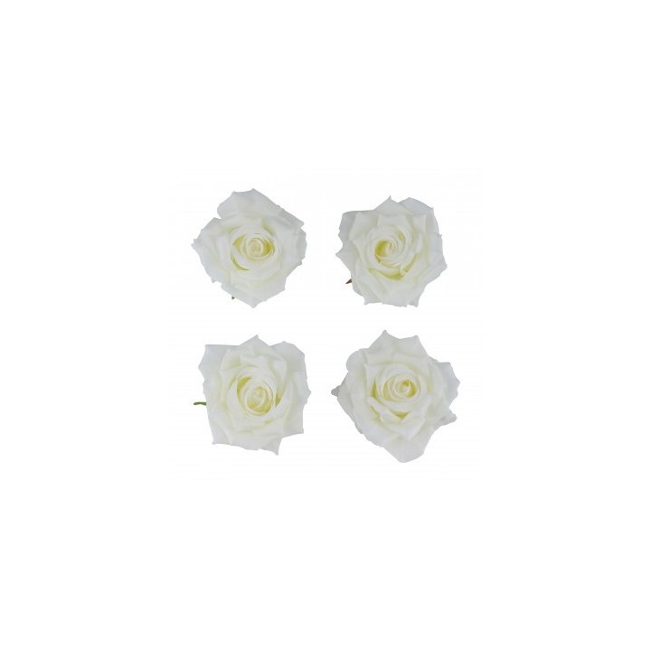 Tete rose ivoire 10cms