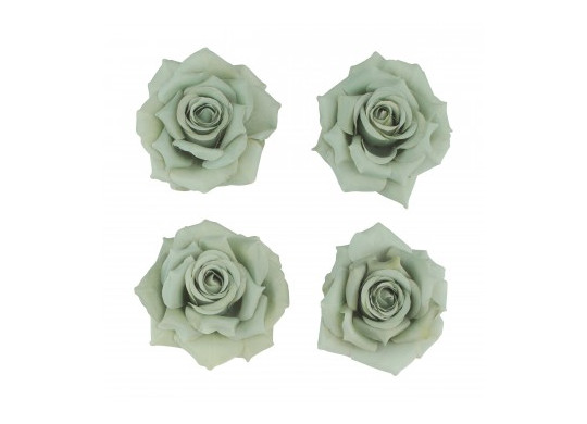 Tete rose vert sauge 10cms