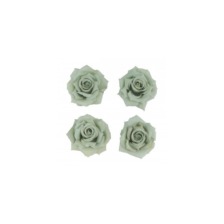 Tete rose vert sauge 10cms