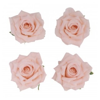 Tete rose pêche 10cms