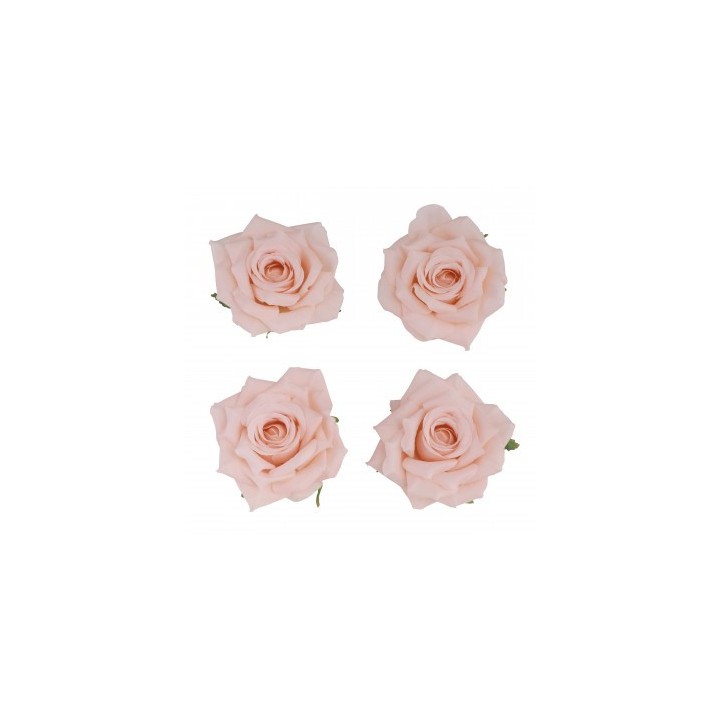Tete rose pêche 10cms