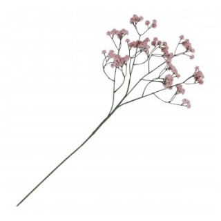 Gypsophile rose sur tige