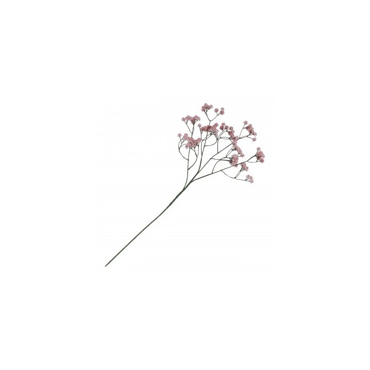 Gypsophile rose sur tige