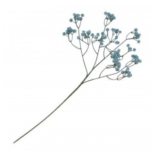 Gypsophile bleu sur tige