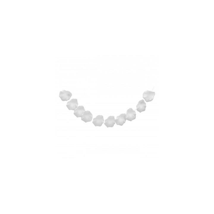 Guirlande 10 petales rose blanche PM