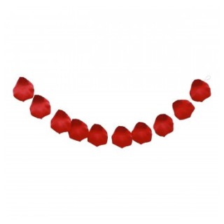 Guirlande 10 petales rose rouge PM
