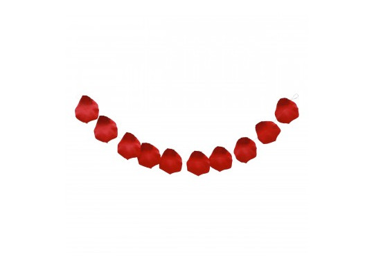 Guirlande 10 petales rose rouge PM