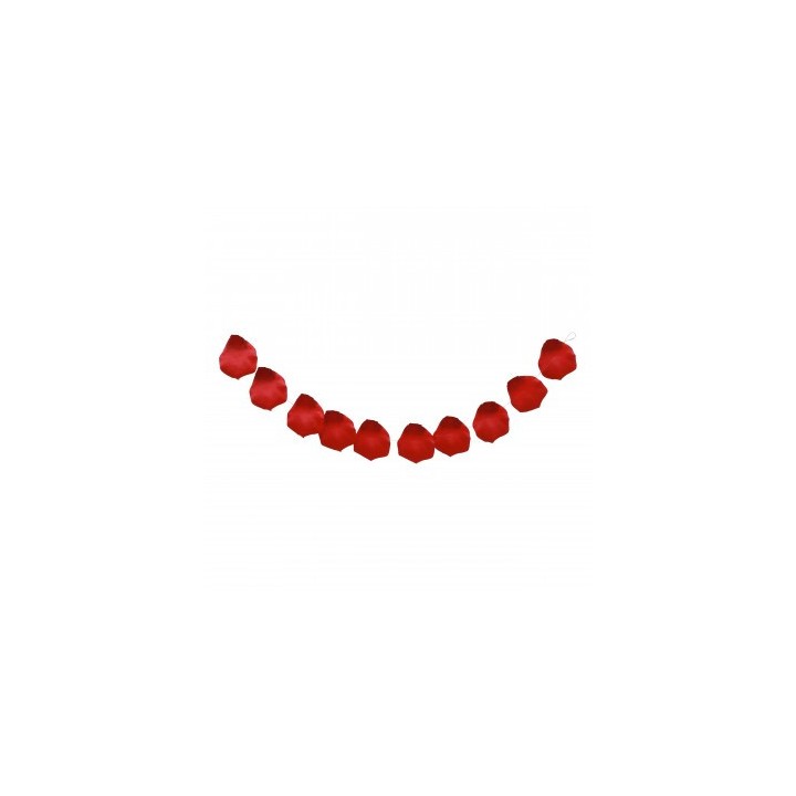 Guirlande 10 petales rose rouge PM