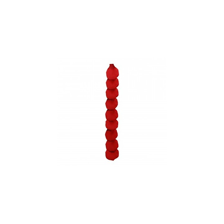 Guirlande 10 petales rose rouge GM