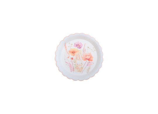 Assiettes lapinou x10