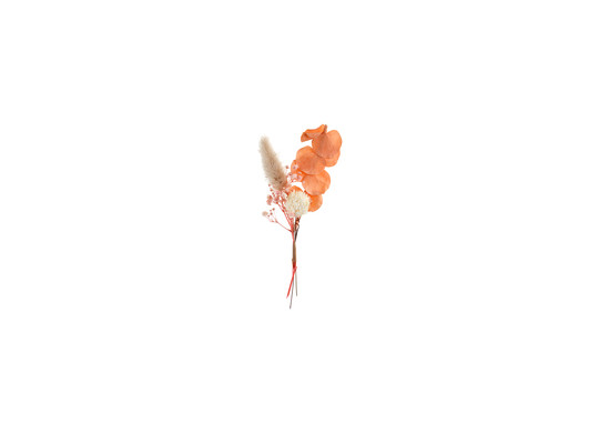 Petit bouquet romantique seché pêche