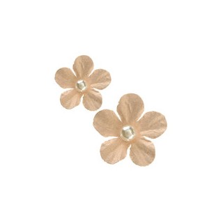 Petite fleur perlée naturel 2cms x40